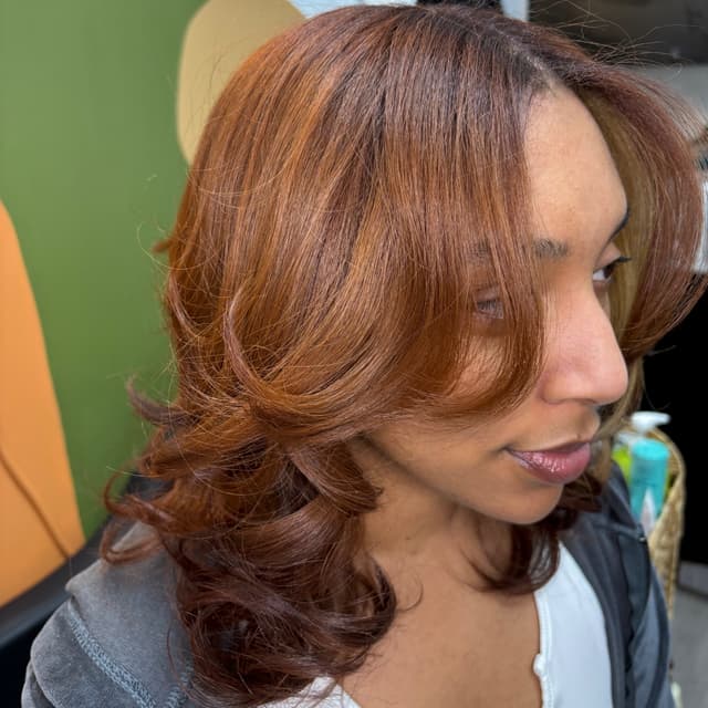 Silk Press Membership 